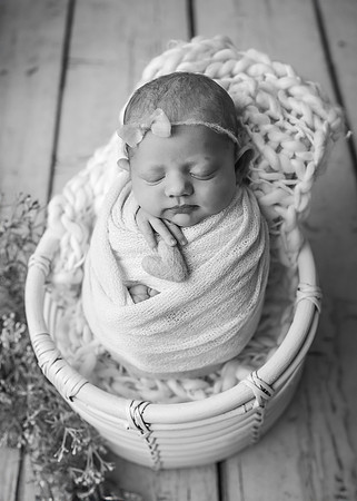 ZII_9326-Edit