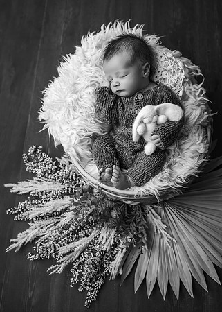 ZII_6283-Edit