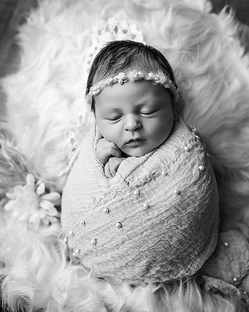 ZII_4042-Edit