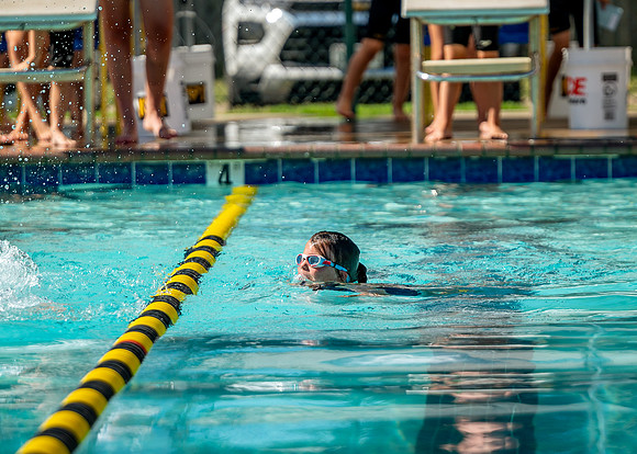 ZII_5566