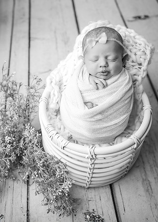 ZII_9303-Edit