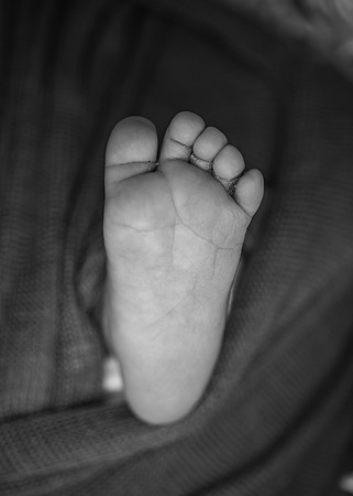 ZII_9472