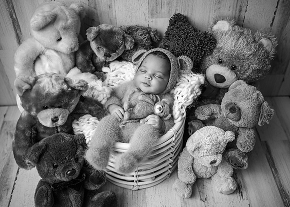 DSC_0342-Edit