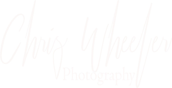 logo - white