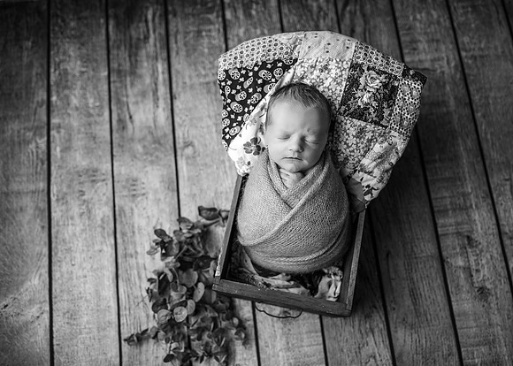 Z72_4788-Edit