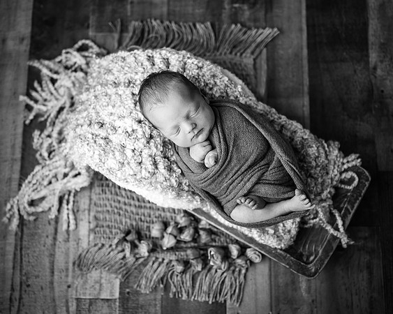 ZII_7381-Edit