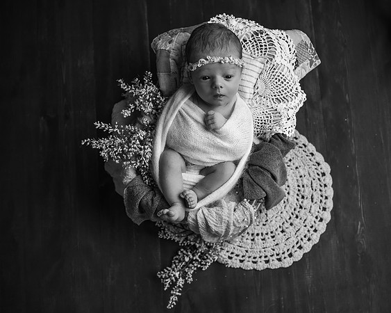 Z72_7228-Edit