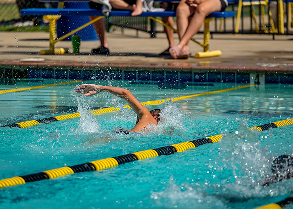 ZII_6338