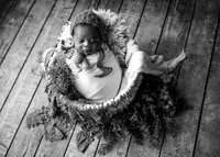 Z72_6378-Edit