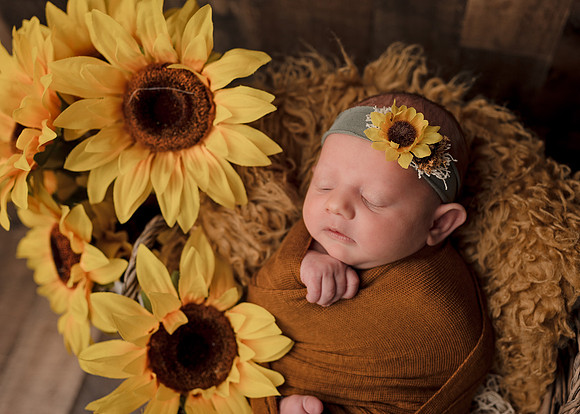 ZII_9543-Edit