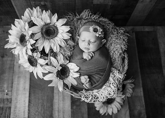 ZII_9536-Edit