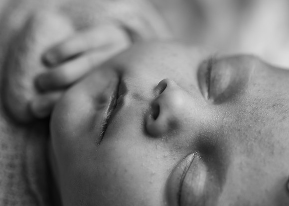 ZII_6403-Edit