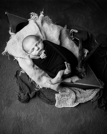 ZII_1572-Edit