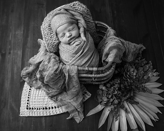 _DSC4274-Edit