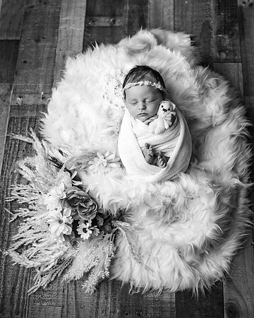 ZII_4051-Edit