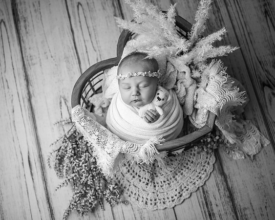 Z72_5263-Edit