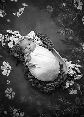 ZII_1271-Edit-Edit