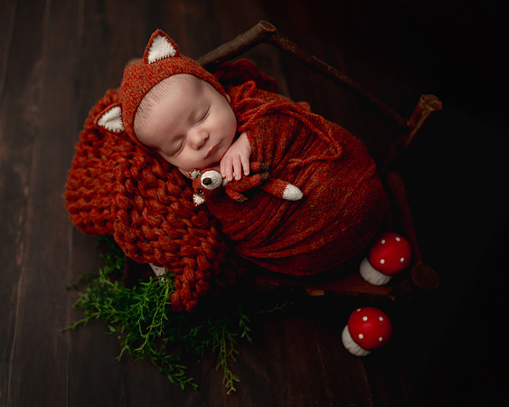 _DSC4826-Edit