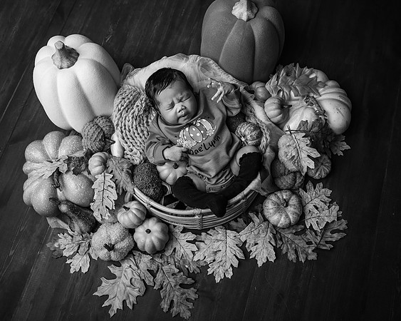 ZII_5432-Edit