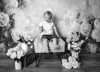 ZII_2595