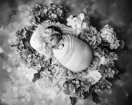 _ZII4378-Edit