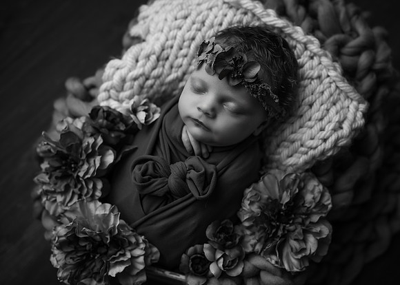 ZII_6352-Edit