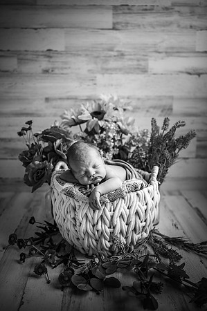 ZII_7250-Edit