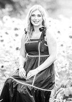 DSC_9520