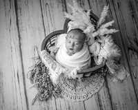 Z72_5253-Edit