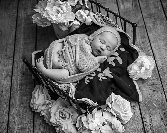 Z72_5318-Edit
