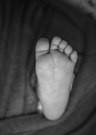 ZII_9474