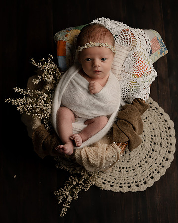 Z72_7231-Edit