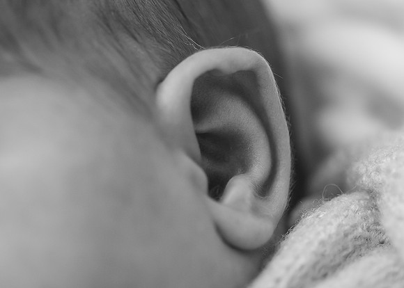 ZII_1227