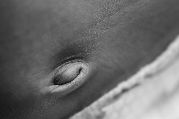 ZII_4803