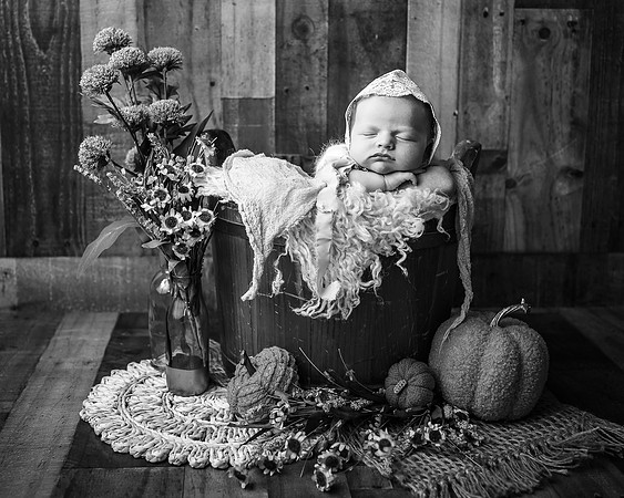 ZII_3372-Edit