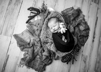 ZII_9198-Edit