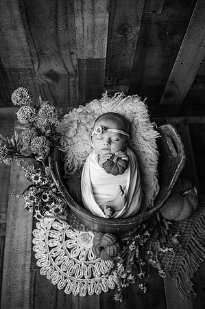 ZII_3308-Edit