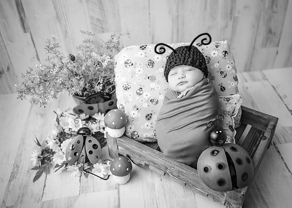 ZII_8978-Edit