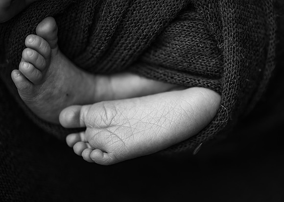 ZII_5221