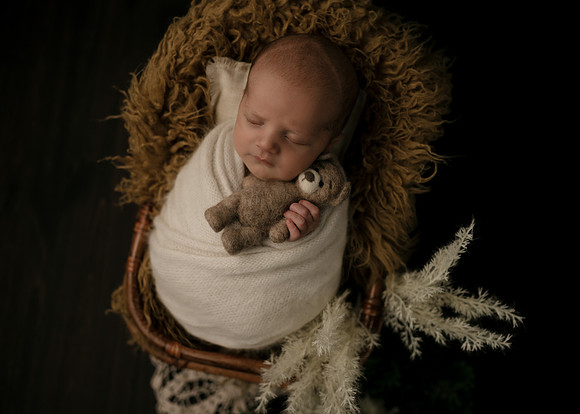 Z72_9131-Edit