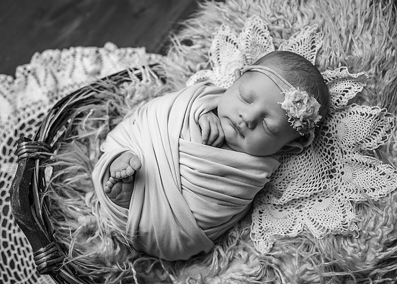 ZII_9361-Edit