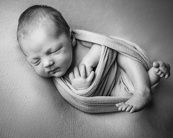 ZII_7342-Edit