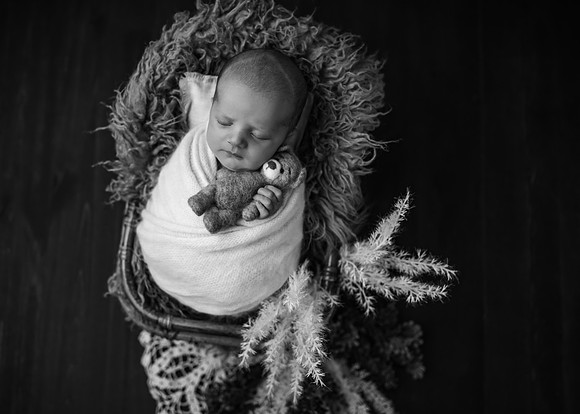 Z72_9132-Edit