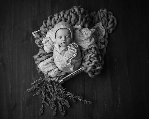 ZII_6332-Edit